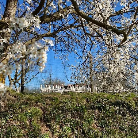 Cascina Bagaggera Farm stay Rovagnate