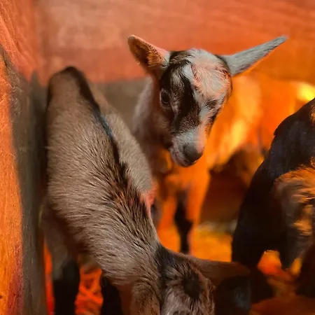 Cascina Bagaggera Rovagnate